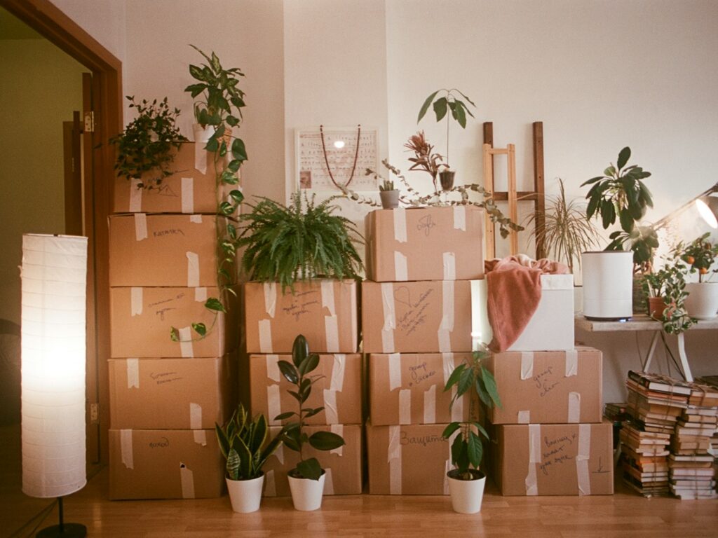 Labelled moving boxes stacked and ready for moving day